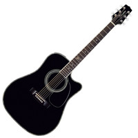 SW341-SC Steve Wariner Electro Acoustic