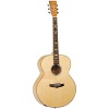 Tanglewood TSJ XFM Exotic Super Jumbo Acoustic Guitar