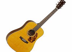 TW40DANE Sundance Dreadnought Electro