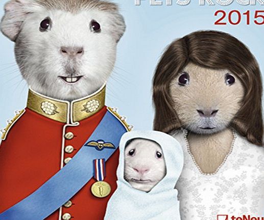 Teneues Publishing Uk Ltd 2015 Pets Rock Calendar