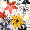 Spiro flowers, chocolate transfer sheets