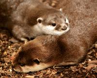 the Hunstanton SEA LIFE Sanctuary 3 OFF - After