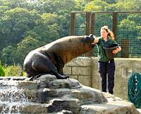 The National Seal Sanctuary (Cornwall) Senior