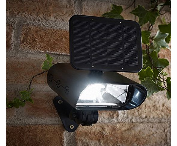 Thea Solar Garden Spotlight