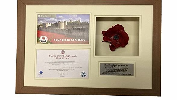 The Sportmemorabilia Framing Company DIY POPPY DISPLAY FRAME - POPPY DISPLAY CASE - FOR TOWER OF LONDON WW1 CERAMIC POPPY M.OAK amp; CREAM WITH BROCHURE CUT OUT