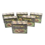 Dinosaur Nest Excavation Kit - assorted designs sold separately