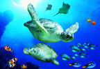 Theme Parks Brighton SEA LIFE Centre HALF PRICE Tickets