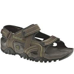 Male Timb Granite Trails Manmade Upper Fashion Large Sizes in Dark Brown