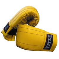 Title Fitness Bag Mitt Medium