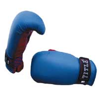 Title Premier Bag Mitt Medium