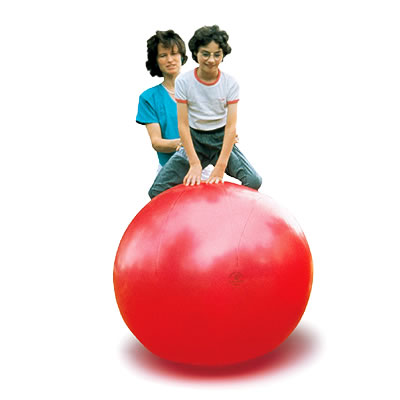 Togu A.B.S Pushball (Togu A.B.S Pushabll - 120cm (401200))