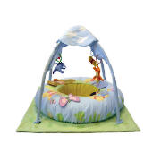 Winnie The Pooh Playgym