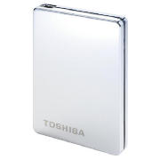 External Stainless Steel 250GB 1.8