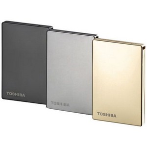 Store Steel PA4153E-1HE0 500 GB External