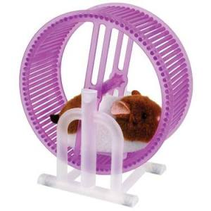 Hamster On A Wheel