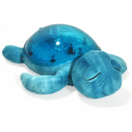 Turtle - Aqua