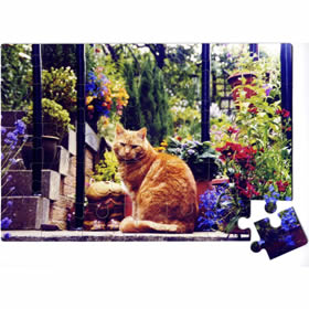 treatme.net 315 Piece Photo Jigsaw