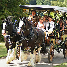 treatme.net Horse Drawn Country Pub Outing for 2