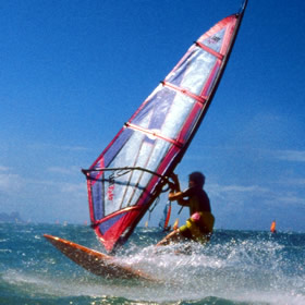 treatme.net Wind Surfing