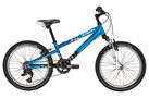 Trek MT 60 Boys 2010 Kids Bike (20`