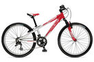 Trek MT Track 220 Boys 2008 Kids Bike