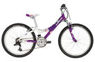 Trek MT Track 220 Girls 2010 Kids Bike (24