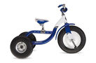 Trek Trikester Boys 2010 Kids Bike