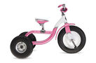 Trek Trikester Girls 2008 Kids Bike