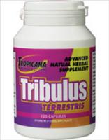 Tribulus Terrestris - 120 Caps