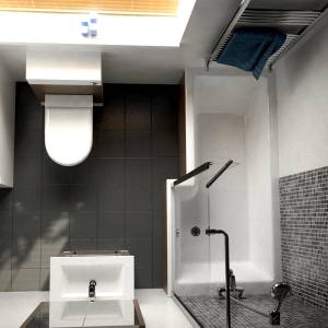 Square Shower Bath Suite with Ebony