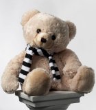 TTN Agencies Super Soft Bear with Black/White Scarf 62cm