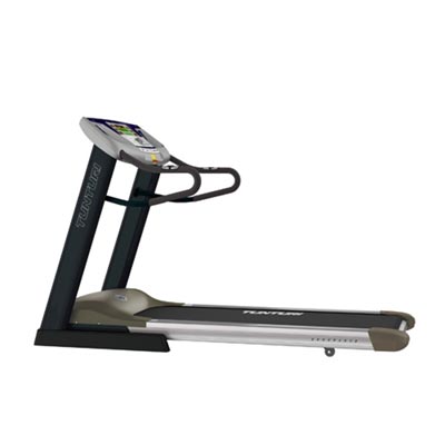 T80 Endurance Treadmill 2009 Model