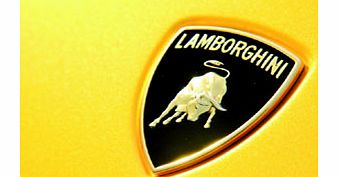 Lamborghini Driving Thrill with