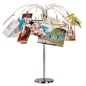 umbra Fotofalls Desktop Tree Clip Photo Frame