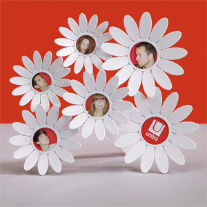 White Daisy Desk Multi Photo Frame