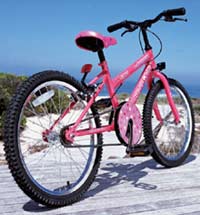 Universal 20in Wheel Disco Diva Bike