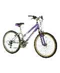 Universal Cycles SILVERFOX FOXY 24 inch CYCLE