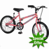 Universal Typhoon Girls Mountain Bike