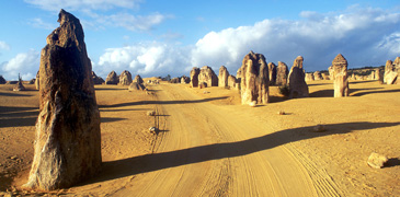 Unbranded 1 Day 4WD Pinnacles Koalas   Sand Boarding