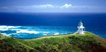 Unbranded 1 Day Dunerider Cape Regina Tour via 90 Mile Beach