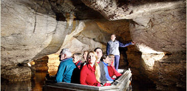 Unbranded 1 Day Te Anau Glowworm Caves