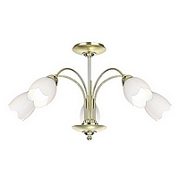 Unbranded 123 5 - 5 Light Satin Brass Ceiling Light