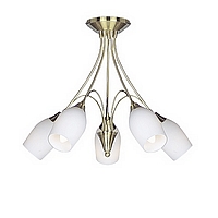 Unbranded 125 5SB - 5 Light Satin Brass Ceiling Light