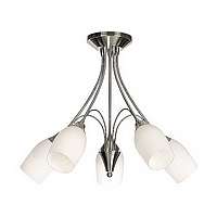 Unbranded 125 5SC - 5 Light Satin Chrome Ceiling Light