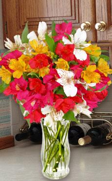 Unbranded 15 Mixed Alstroemeria