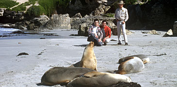 Unbranded 2 Day Kangaroo Island Wilderness Safari