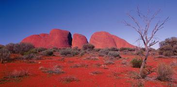 red centre champagne uluru tour tours center kata tjuta national park parks desert gaint domes dome 