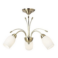 Unbranded 2007 F3SB - Satin Brass Ceiling Light