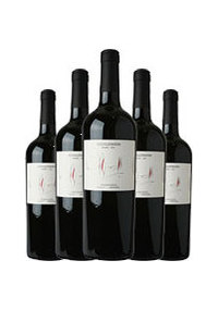 Unbranded 2007 Malbec, Gouguenheim Unmixed 12-bottle case offer.