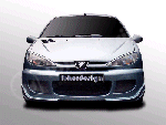 206 3 door & CC Front Bumper ENIGMA